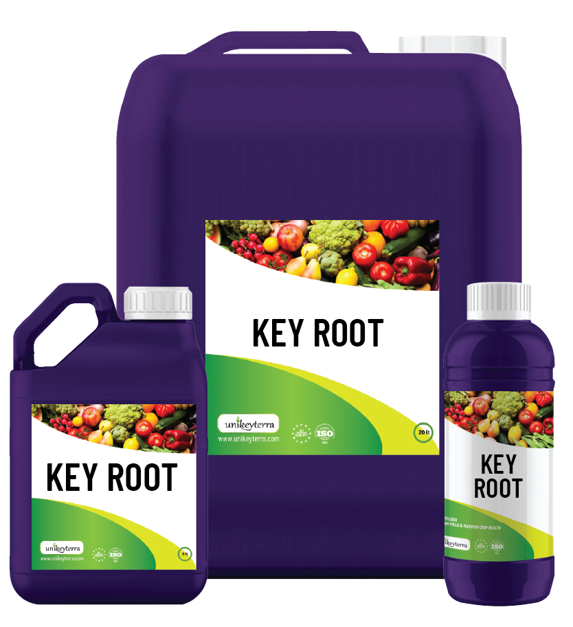 keyroot