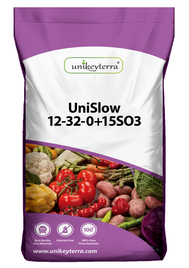 UniSlow 12-32-0+15So3