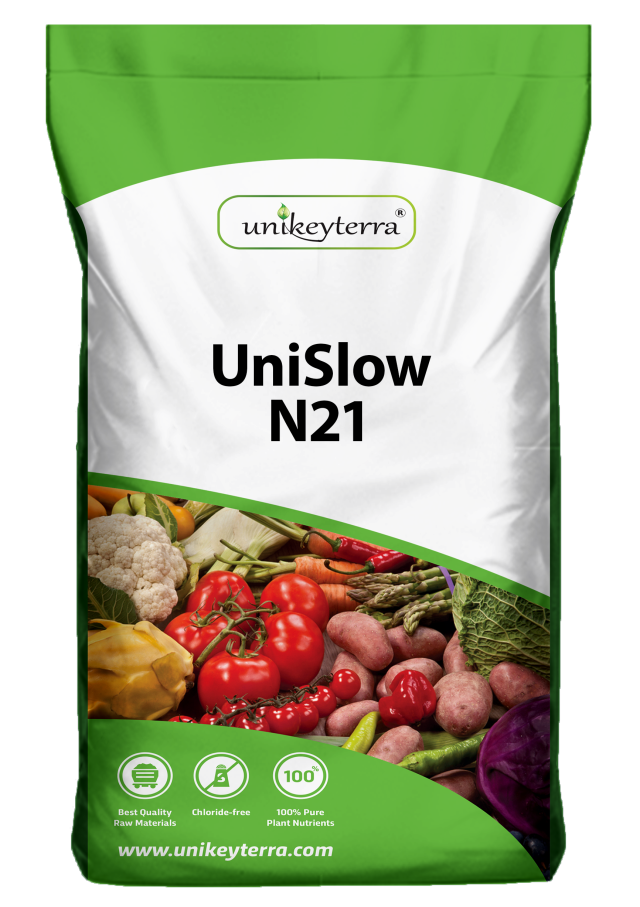 UniSlow N-21