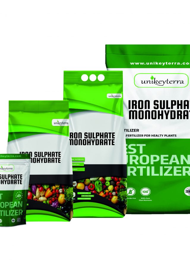Ferrous (Iron) Sulfate Monohydrate
