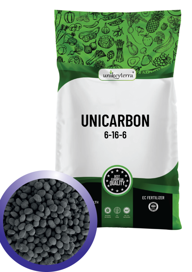 Uni Carbon 6-16-6