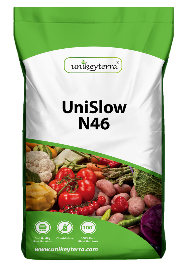 UniSlow N46