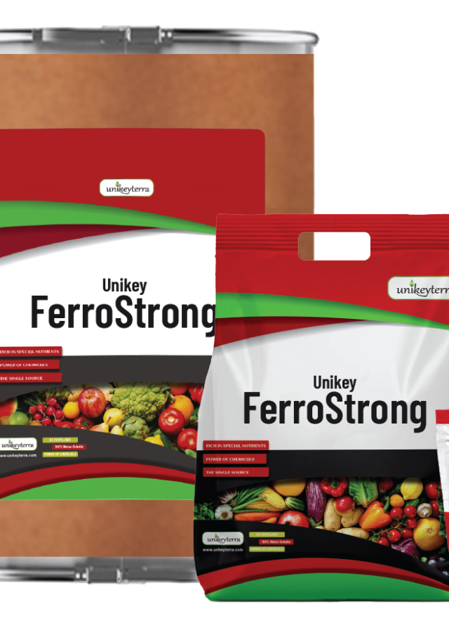 Unikey FerroStrong