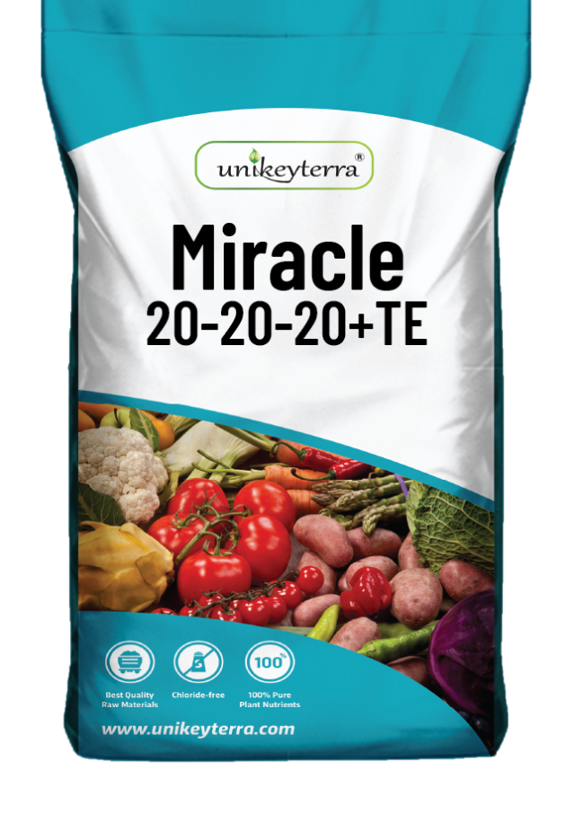 Miracle 20-20-20+TE